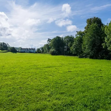 Damson - Chocolate Box In Crook, Near Bowness Crook (Cumbria)